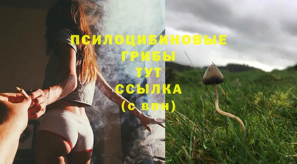 прущая мука Краснотурьинск