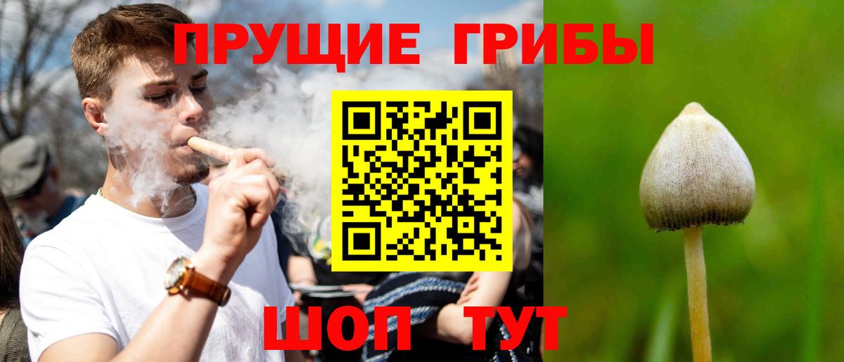 Галлюциногенные грибы GOLDEN TEACHER  Вход с VPN  Саров 